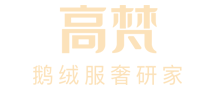 高梵